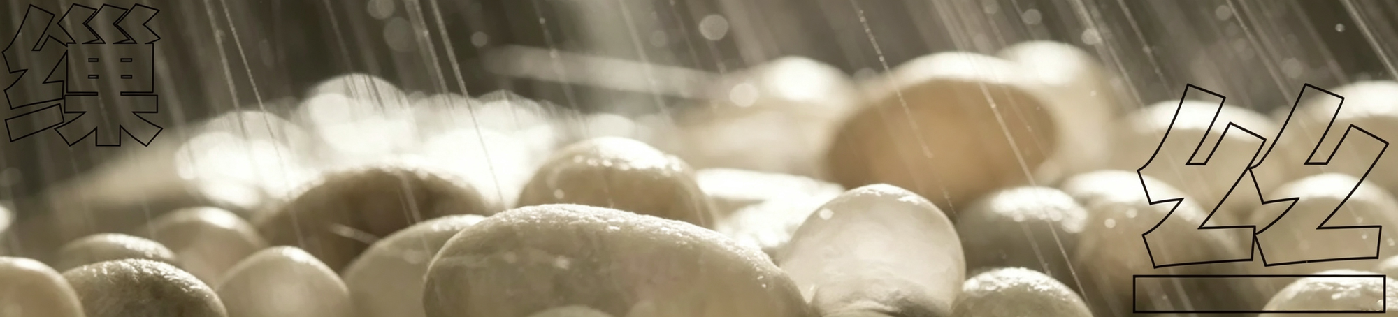 Is Silk an Ethical Industry? Exploring the Threads of Tradition and Sustainability