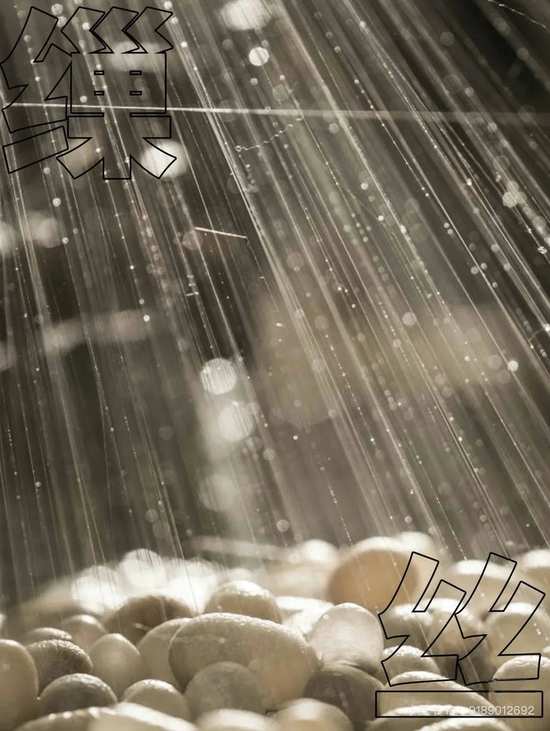 Is Silk an Ethical Industry? Exploring the Threads of Tradition and Sustainability