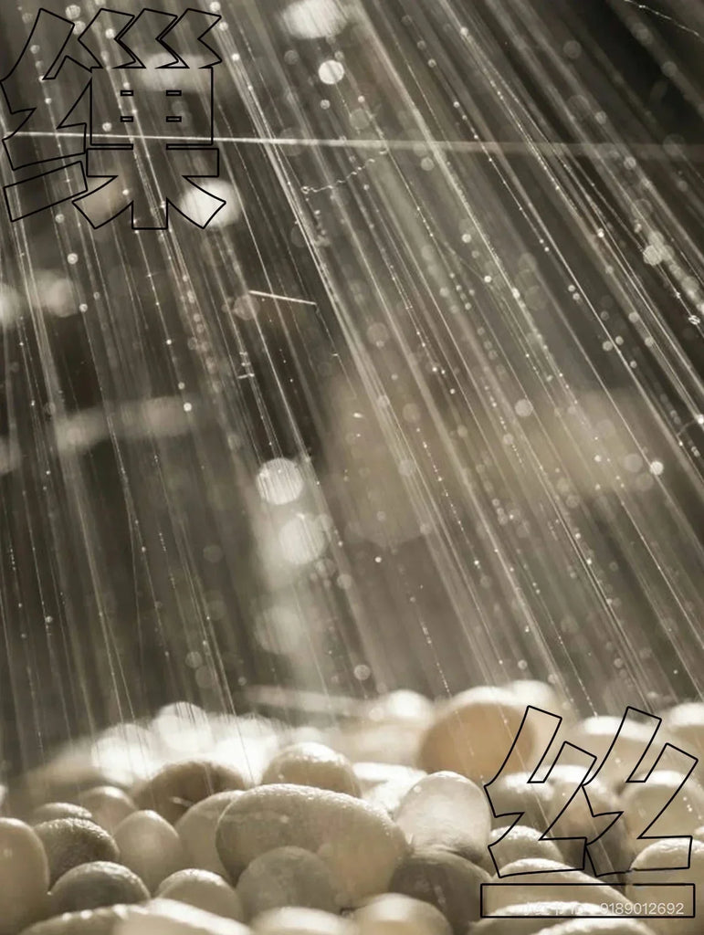 Is Silk an Ethical Industry? Exploring the Threads of Tradition and Sustainability