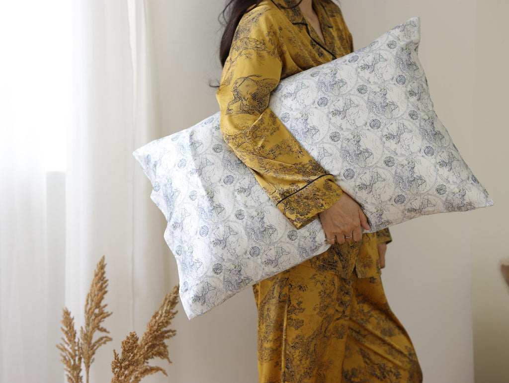 Mulberry Silk Pillowcase: 22 Momme, World Map Print, Travel Gift for Him